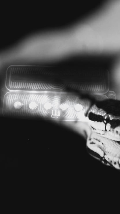 Necromancer Humbucker
